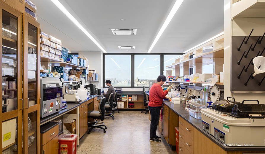 ADARC Featured Image